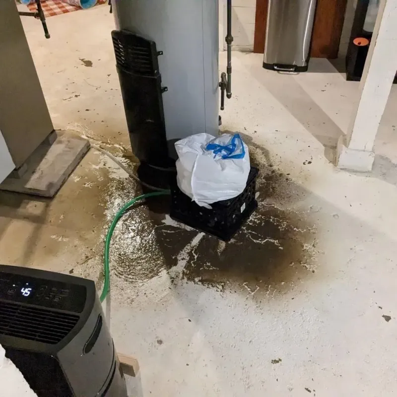Sewage Backup Cleanup Service in Union City, GA